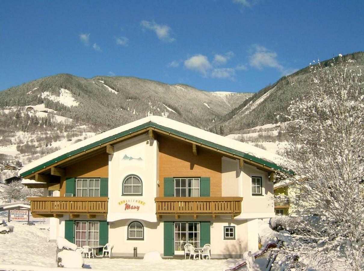 Appartements Mary Inklusive Tauern-Spa Kaprun Exterior photo